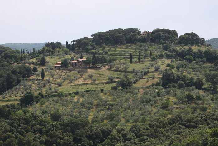 Toscane 09 - 121 - Paysages